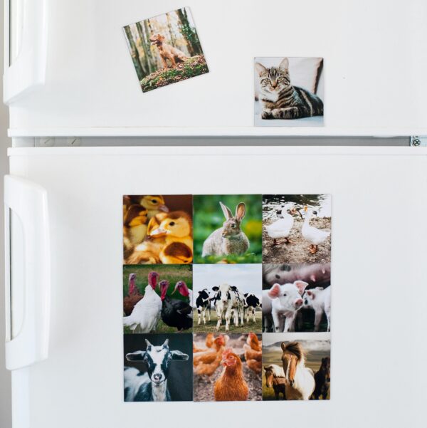 Custom Photo Magnets (Set of 6)